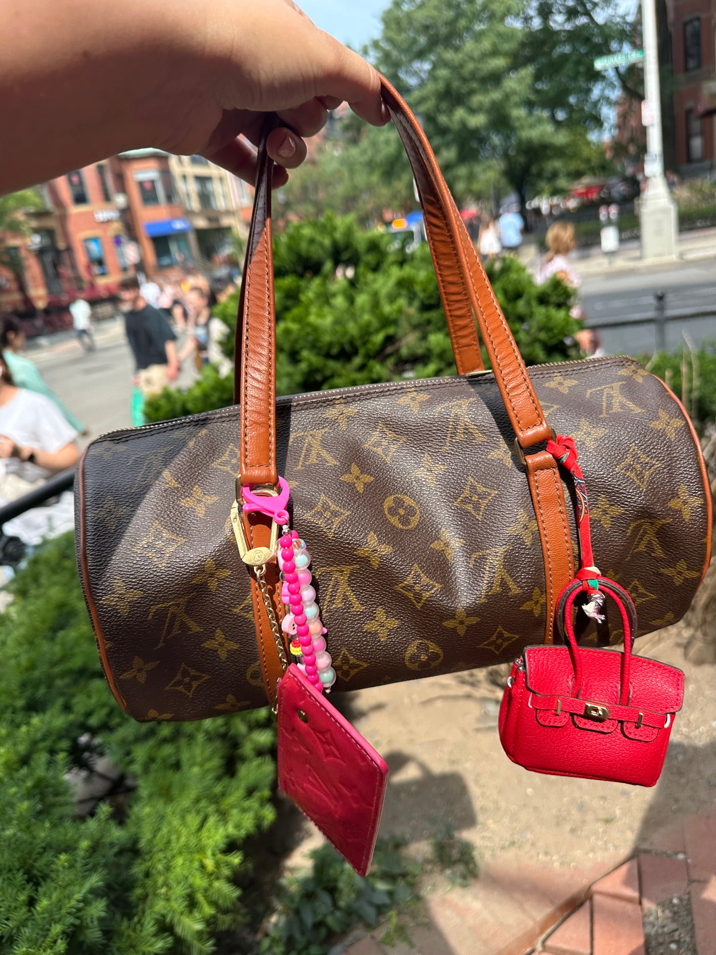 Louis Vuitton papillon bag